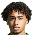 https://img.czsmgd.com/img/football/player/347a6d58ae7ec0425a4d42bc9215c411.png