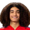 https://img.czsmgd.com/img/football/player/87359ed9061cfd73513d827263deebcd.png