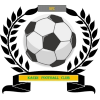 https://img.czsmgd.com/img/football/team/6dc6d59af2f0962597b412473a6708ee.png